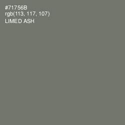 #71756B - Limed Ash Color Image